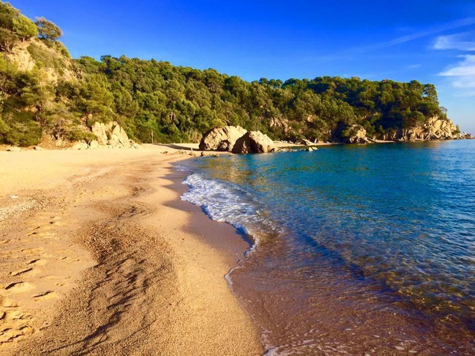 Private Cala Canyelles Apartment *